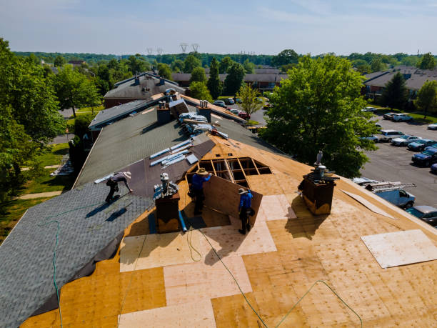 Trusted Roof Installation service in Crum, WV - Brentwood Metal Roofing